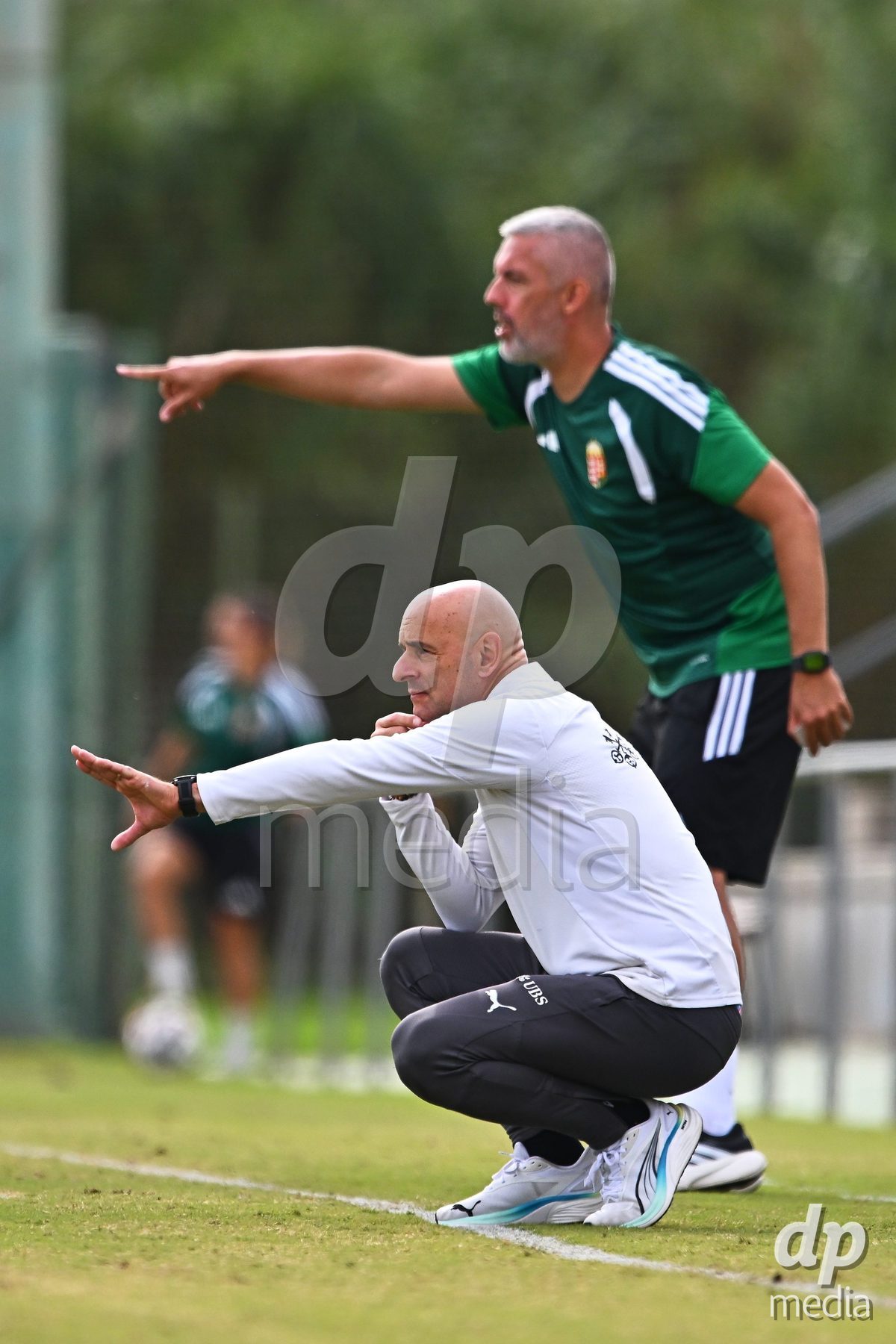 OLIVA NOVA, SPAIN - OCTOBER 24: William Niederhauser Head Coach of Switzerland during the International Women's Friendly match between Switzerland U17 and Hungary U17 at Oliva Nova Sports Center on October 24, 2026 in Oliva Nova, Spain.